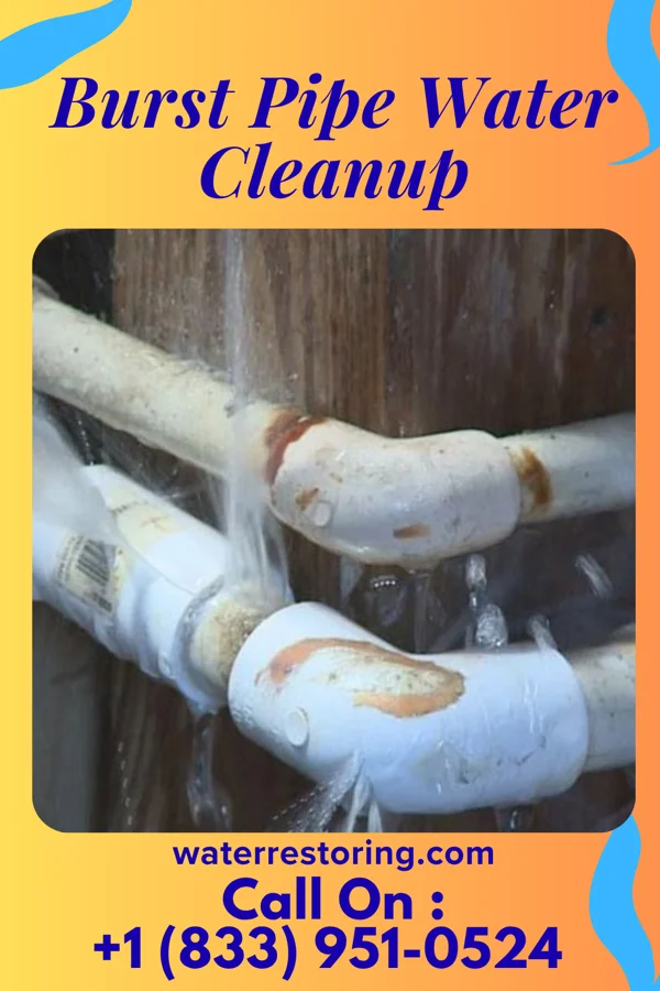Burst Pipe Water Cleanup in Fountain City, IN