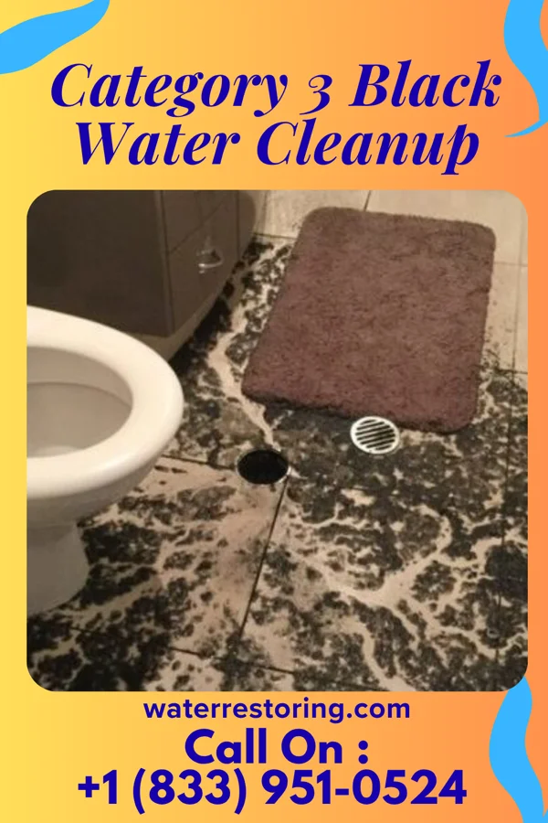 Category 3 Black Water Cleanup in Fountain City, IN