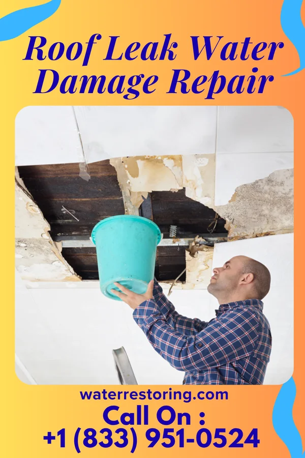 Roof Leak Water Damage Repair in Fountain City, IN